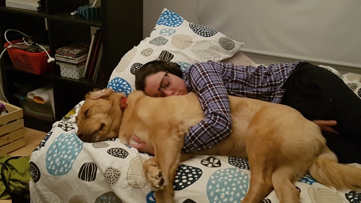 20190116_184534_resized