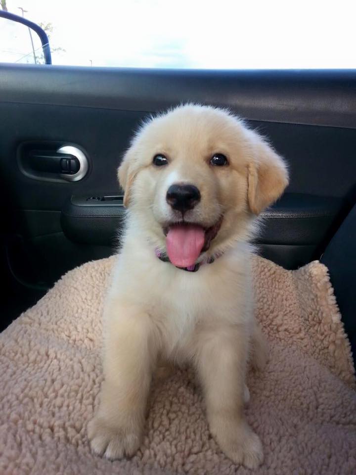 11903700_10207455677089538_197108813966372479_n